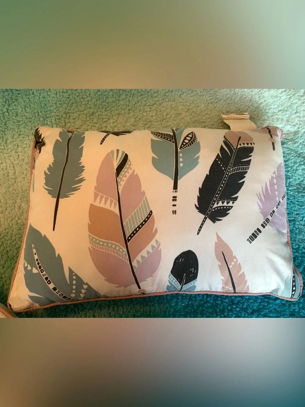 Dreamcatcher & Feather Decorative Throw Pillow - set of 2-Pink, Teal, Black